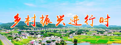 乡村振兴进行时